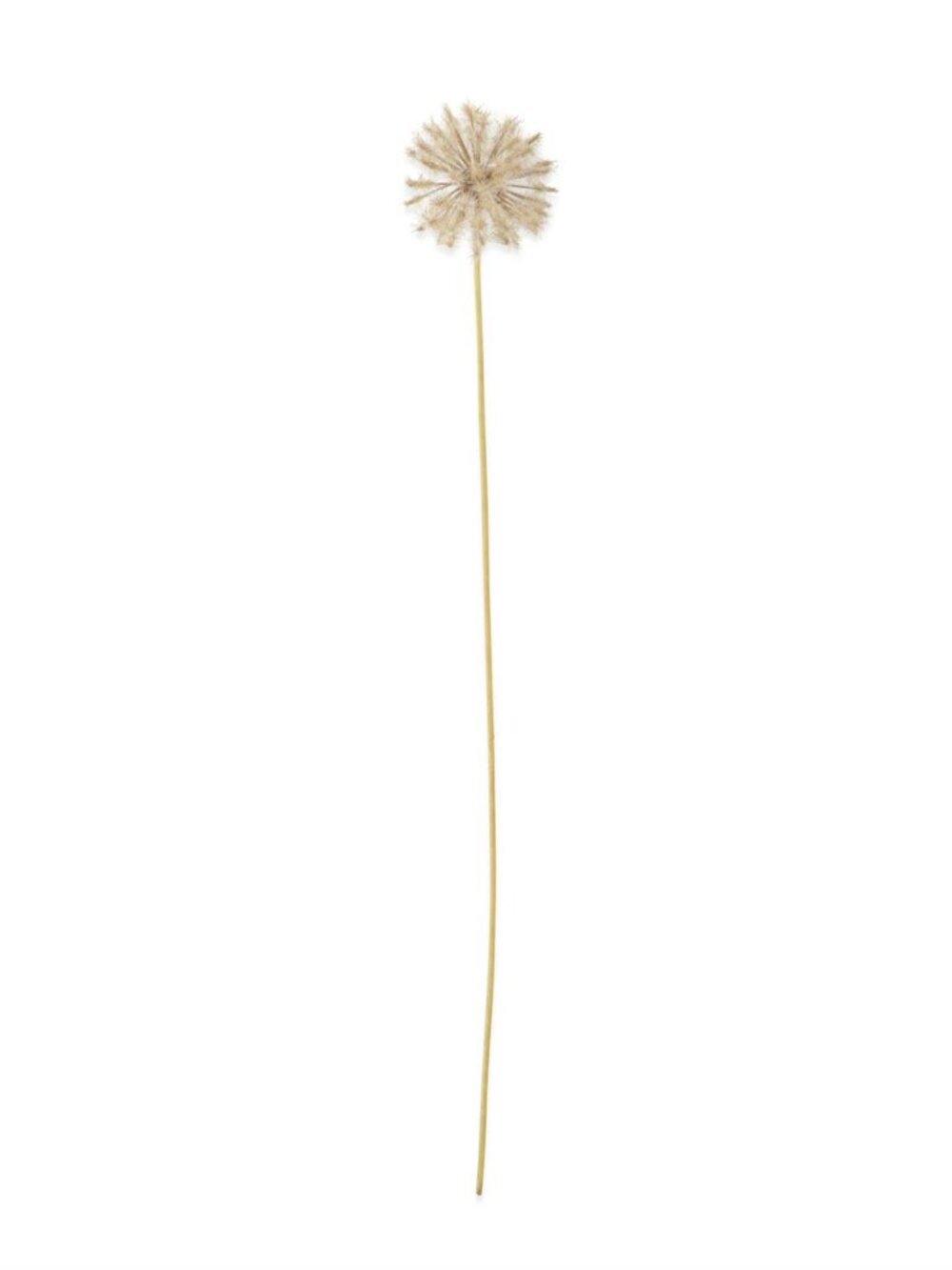 30 Inch Dandelion Stem NEW
